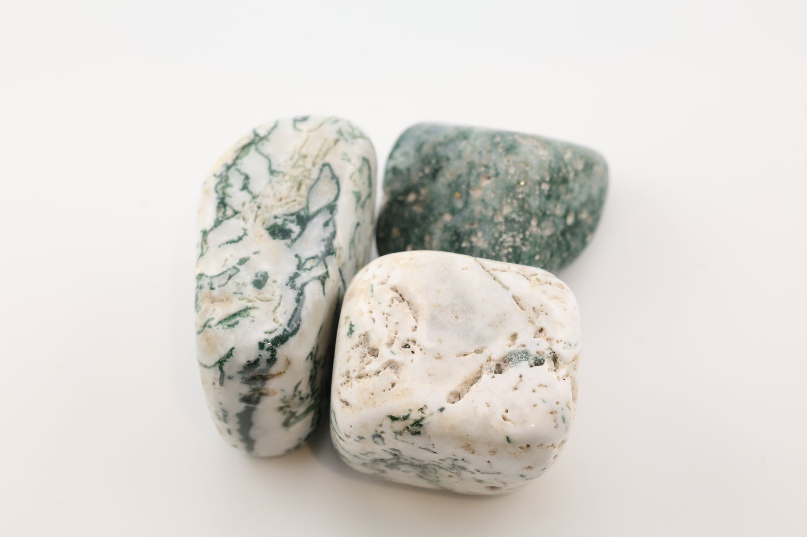 Tree Agate Tumble