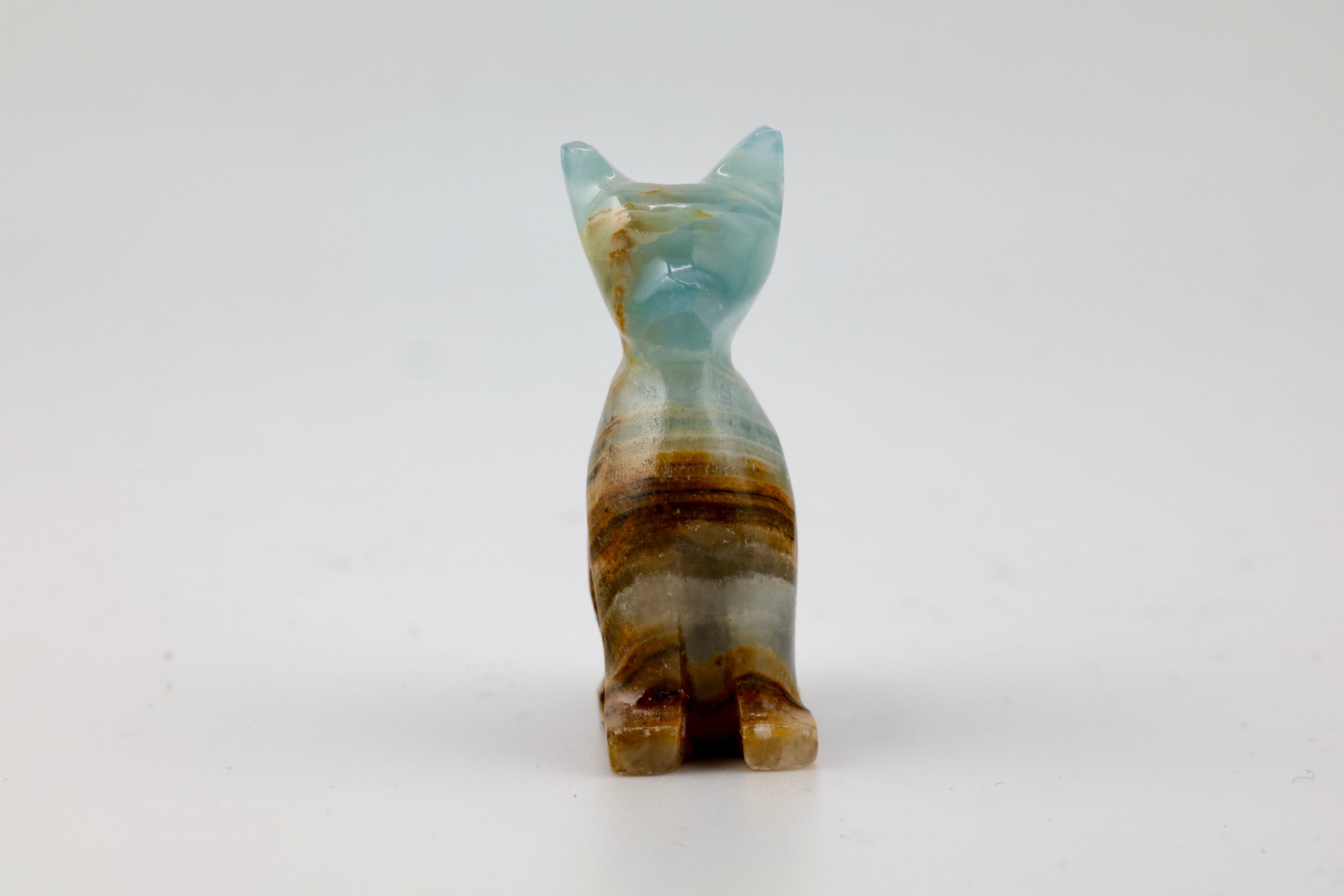 Blue Onyx Cat
