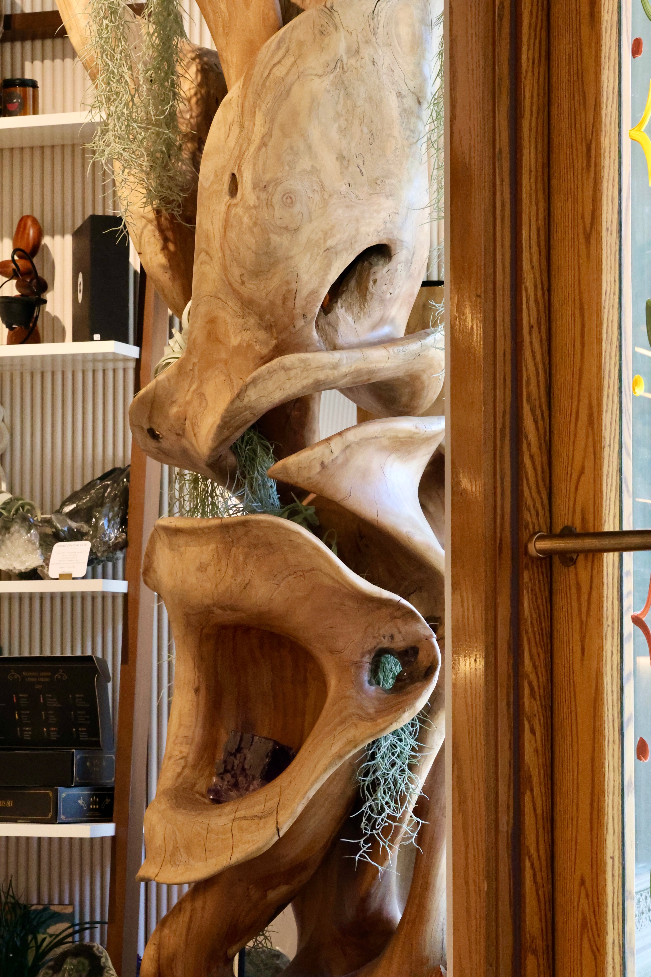 Monkeypod Wood Root Statue