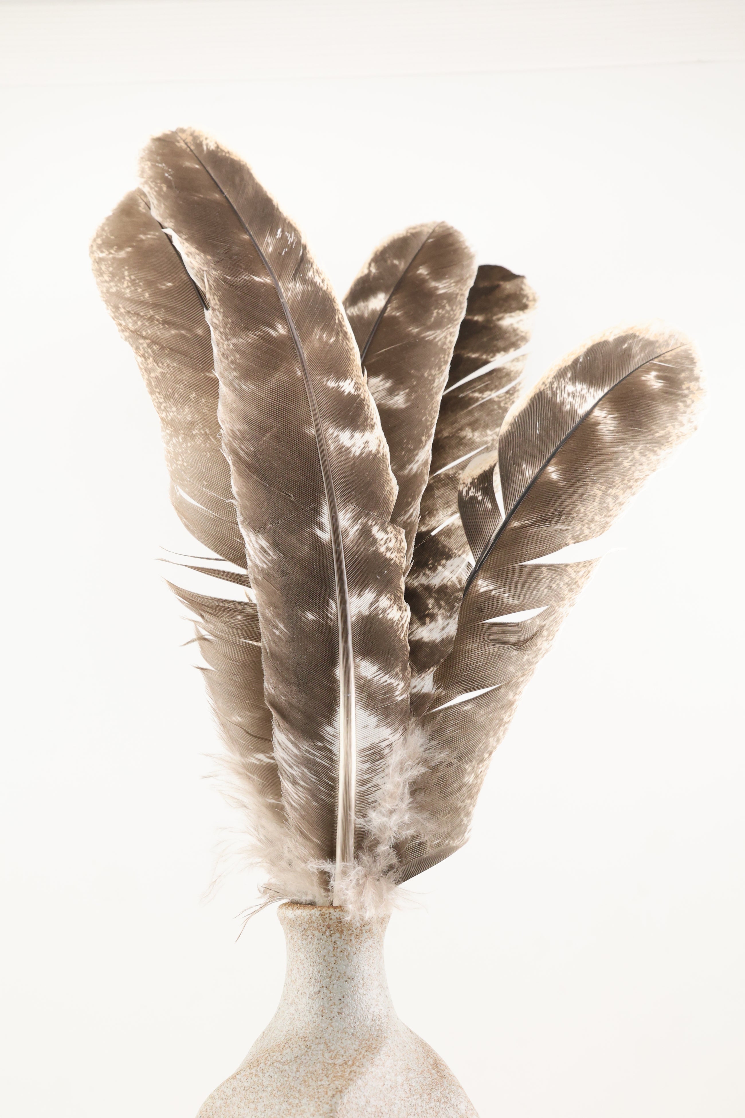 Feather