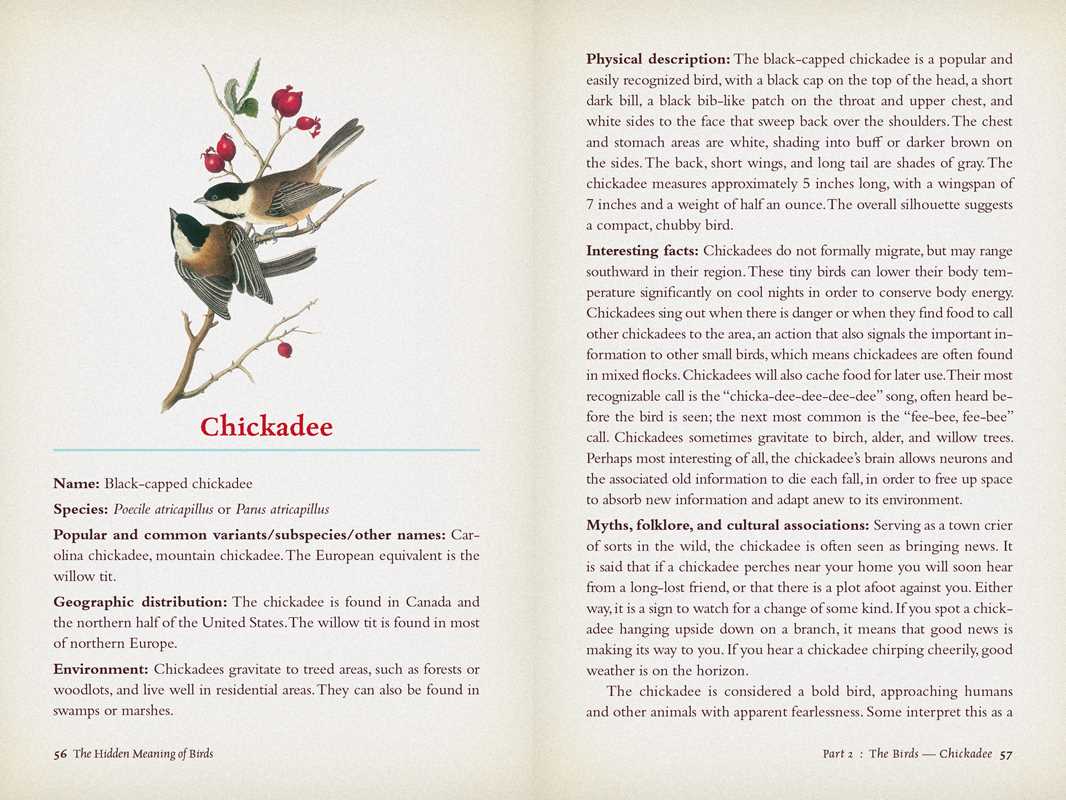 Hidden Meaning of Birds--A Spiritual Field Guide by Arin Murphy-Hiscock: Paperback; 240 pages / English