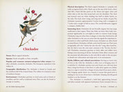 Hidden Meaning of Birds--A Spiritual Field Guide by Arin Murphy-Hiscock: Paperback; 240 pages / English