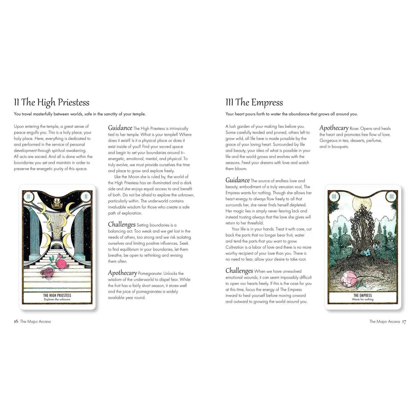 Elemental Power Tarot by Melinda Lee Holm: Mixed Media; 64 pages, English