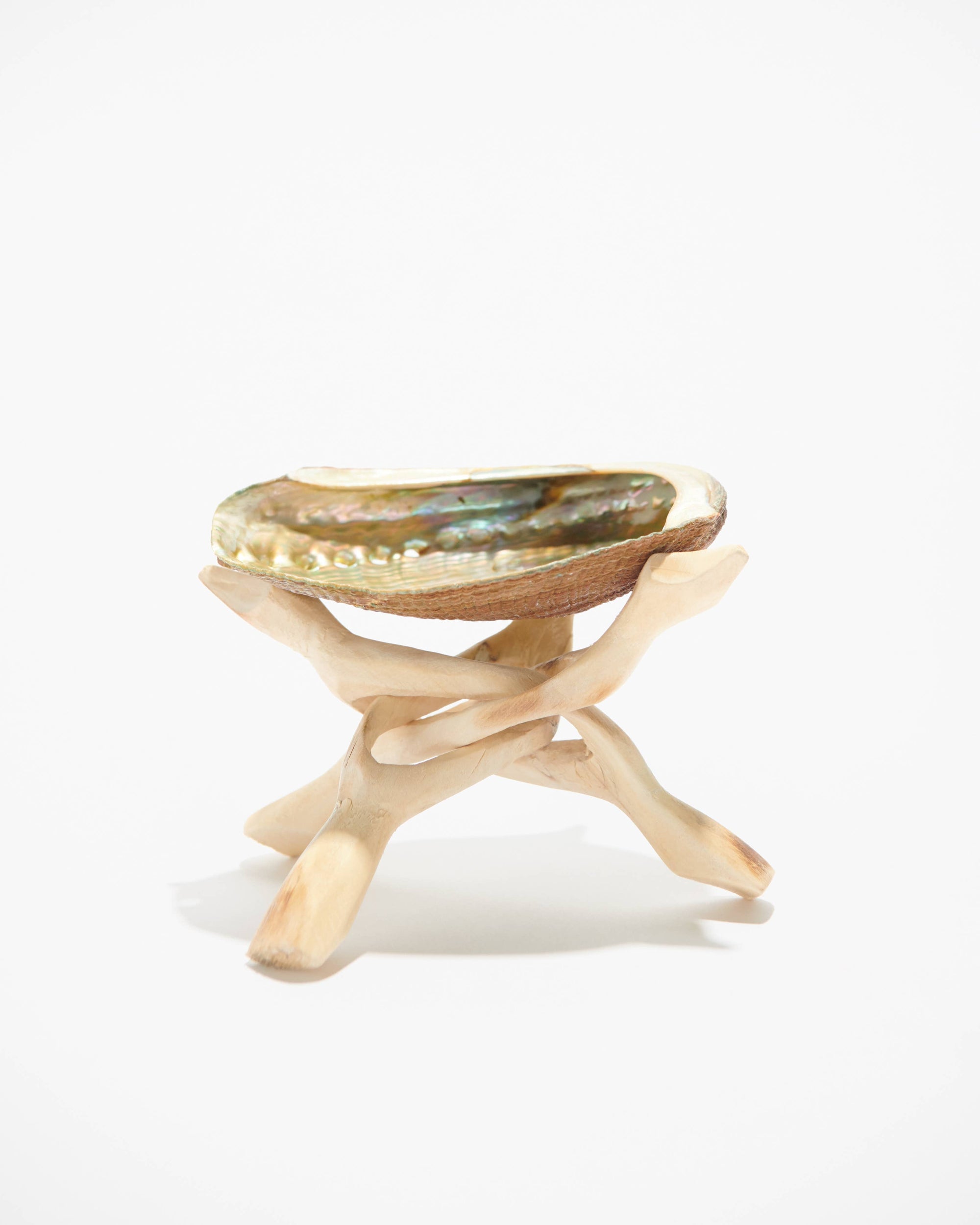 Abalone Shell Stand, Cobra Tripod, Wooden Tripod Stand: Reg.