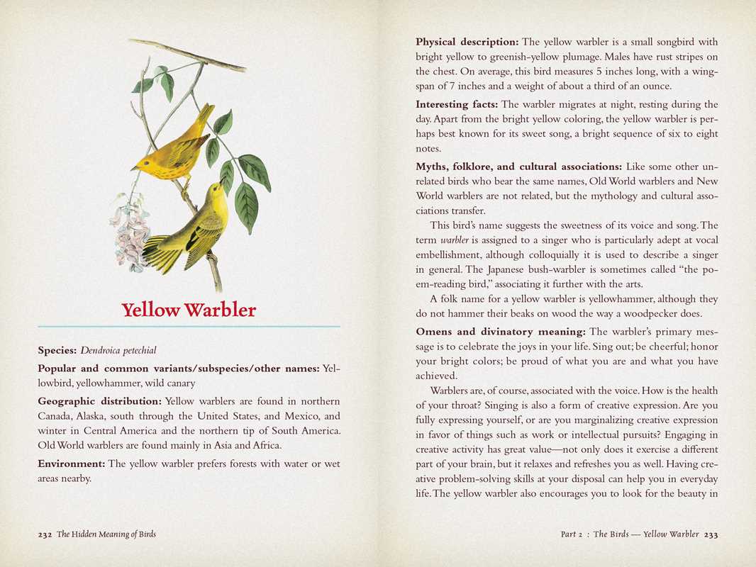 Hidden Meaning of Birds--A Spiritual Field Guide by Arin Murphy-Hiscock: Paperback; 240 pages / English