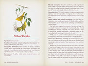 Hidden Meaning of Birds--A Spiritual Field Guide by Arin Murphy-Hiscock: Paperback; 240 pages / English