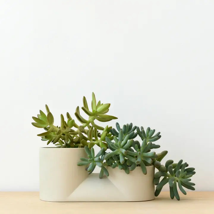 Double Planter: Dune