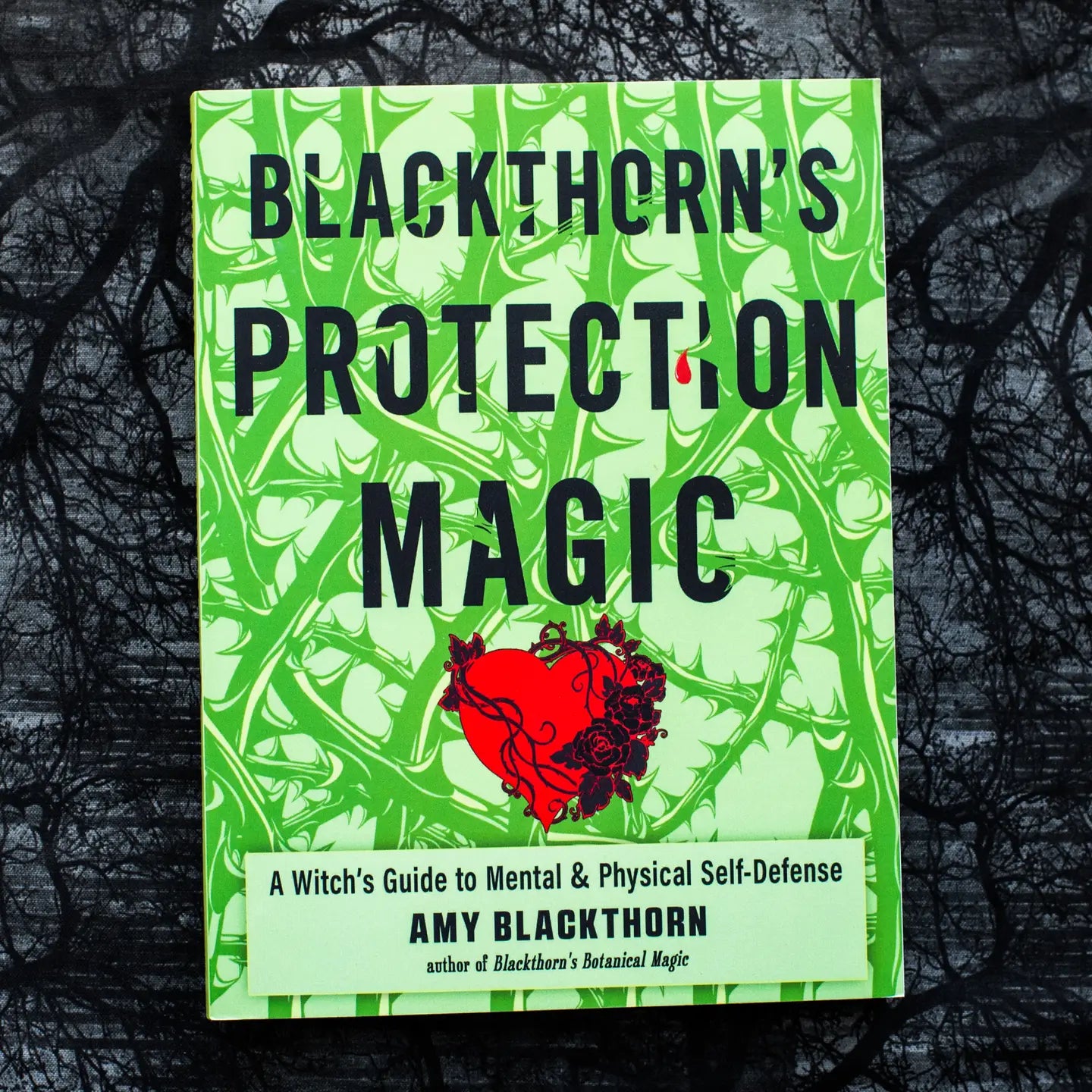Blackthorn's Protection Magic: A Witch’s Guide to Defense