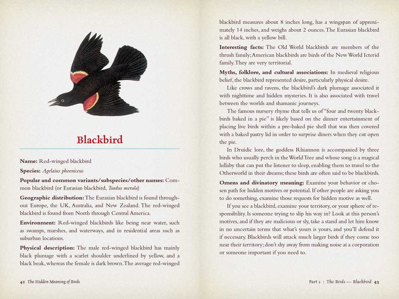Hidden Meaning of Birds--A Spiritual Field Guide by Arin Murphy-Hiscock: Paperback; 240 pages / English