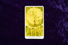 Crystal Keys Tarot: 78 Cards & 176-Page Full-Color Guidebook