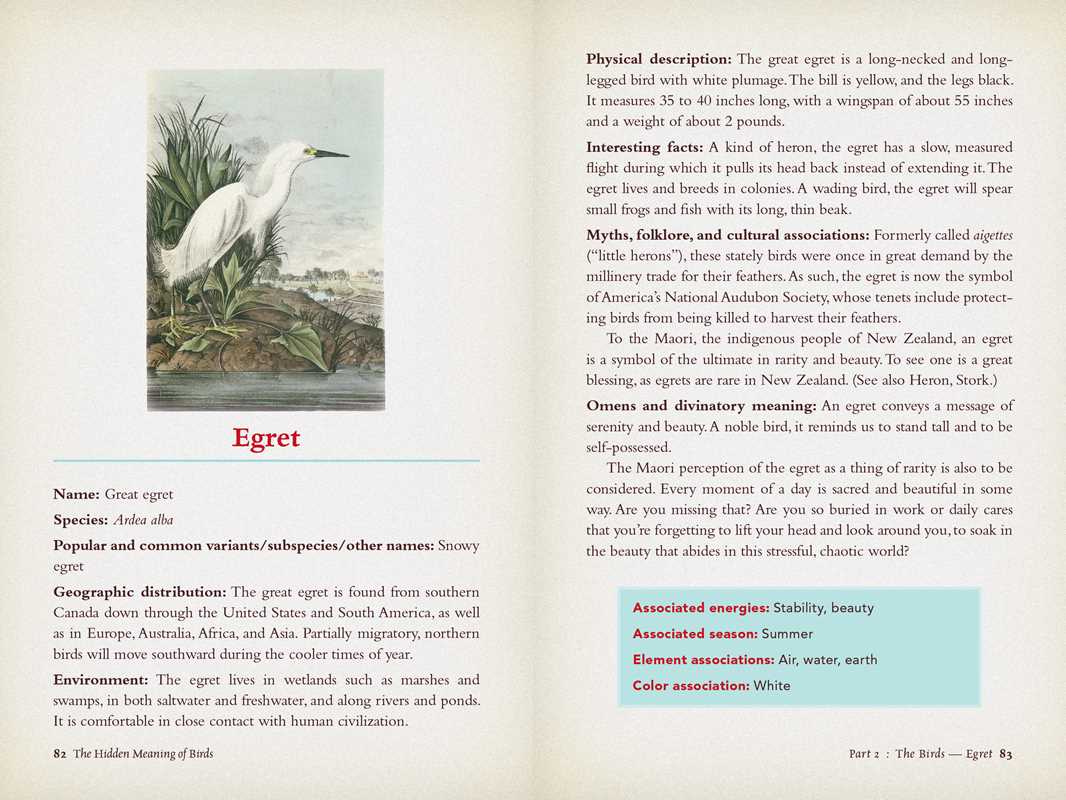 Hidden Meaning of Birds--A Spiritual Field Guide by Arin Murphy-Hiscock: Paperback; 240 pages / English