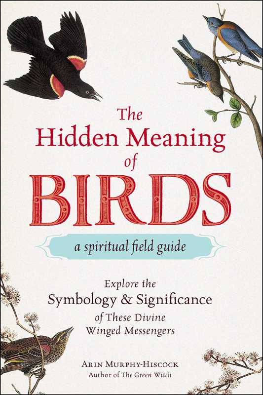 Hidden Meaning of Birds--A Spiritual Field Guide by Arin Murphy-Hiscock: Paperback; 240 pages / English