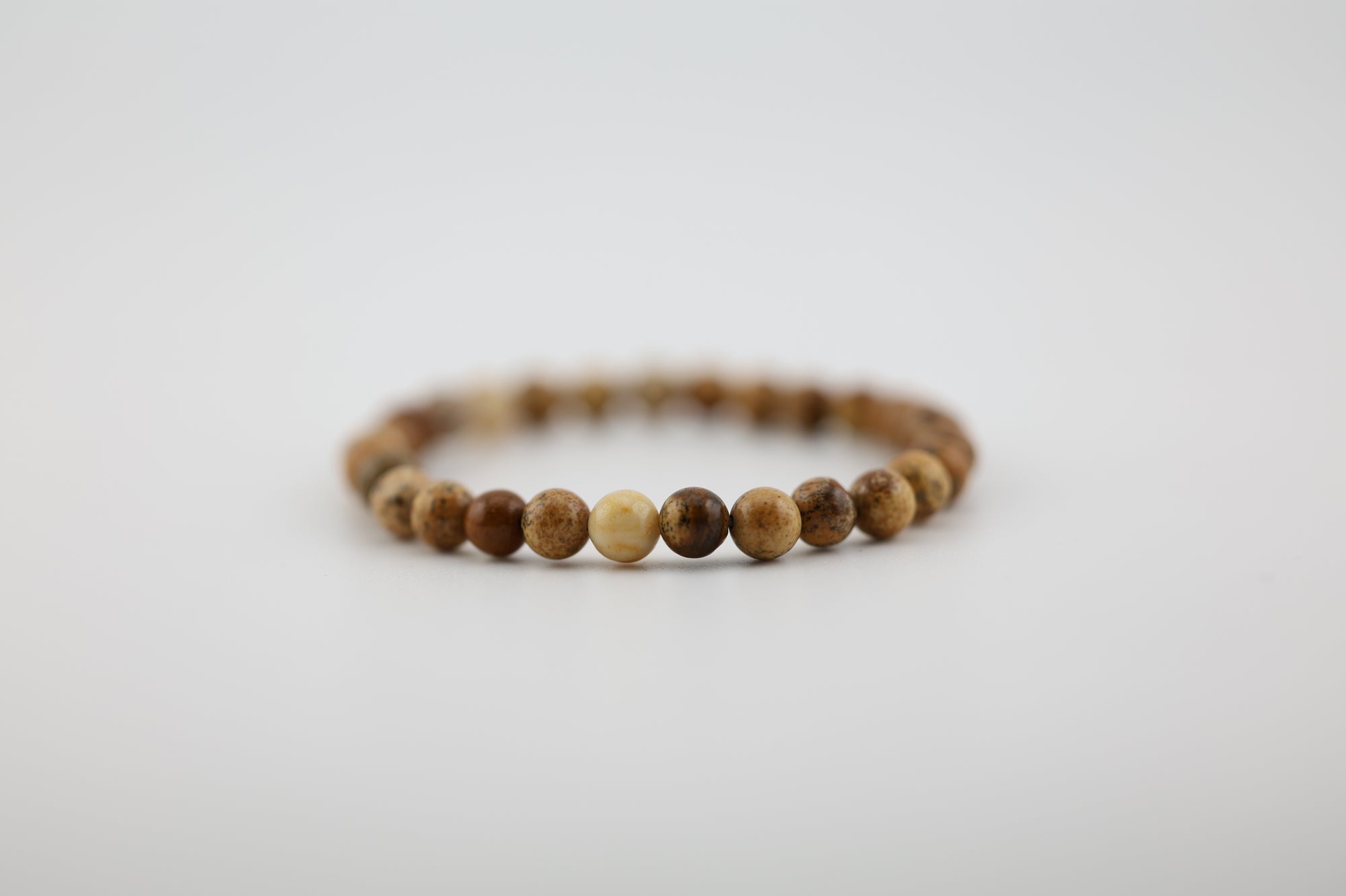 Petrified Wood Bead Bracelet