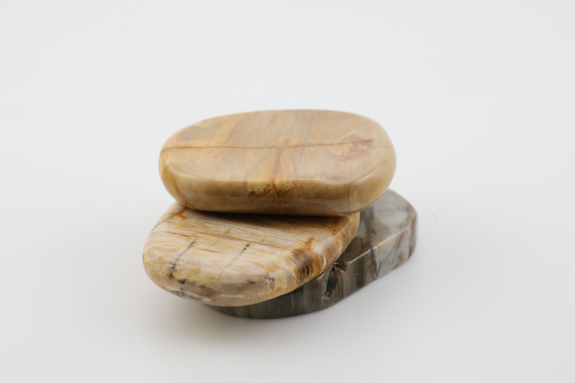 Petrified Wood Palm Stone