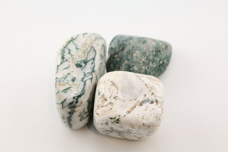 Tree Agate Tumble