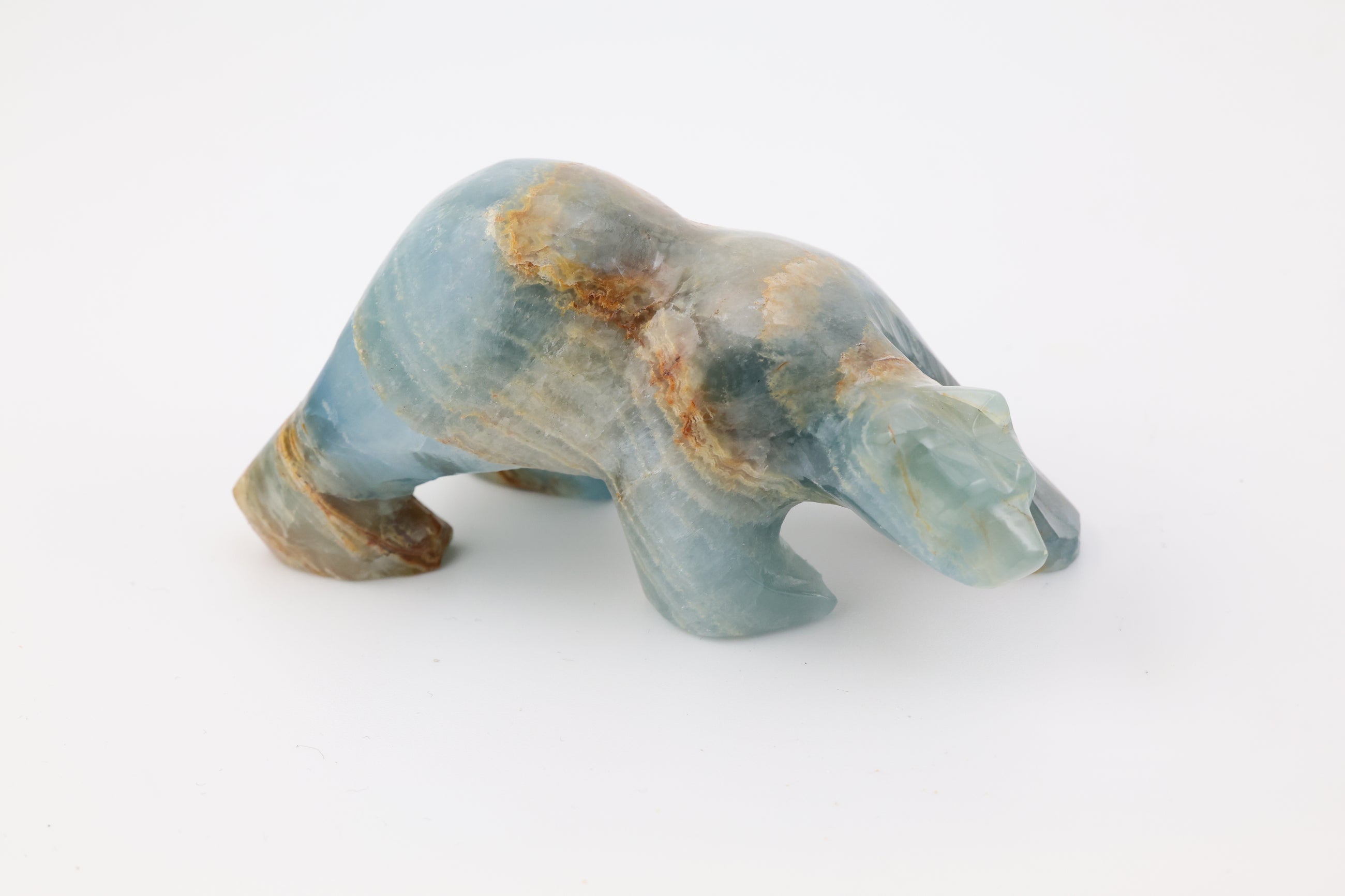 Blue Onyx Bear Walking