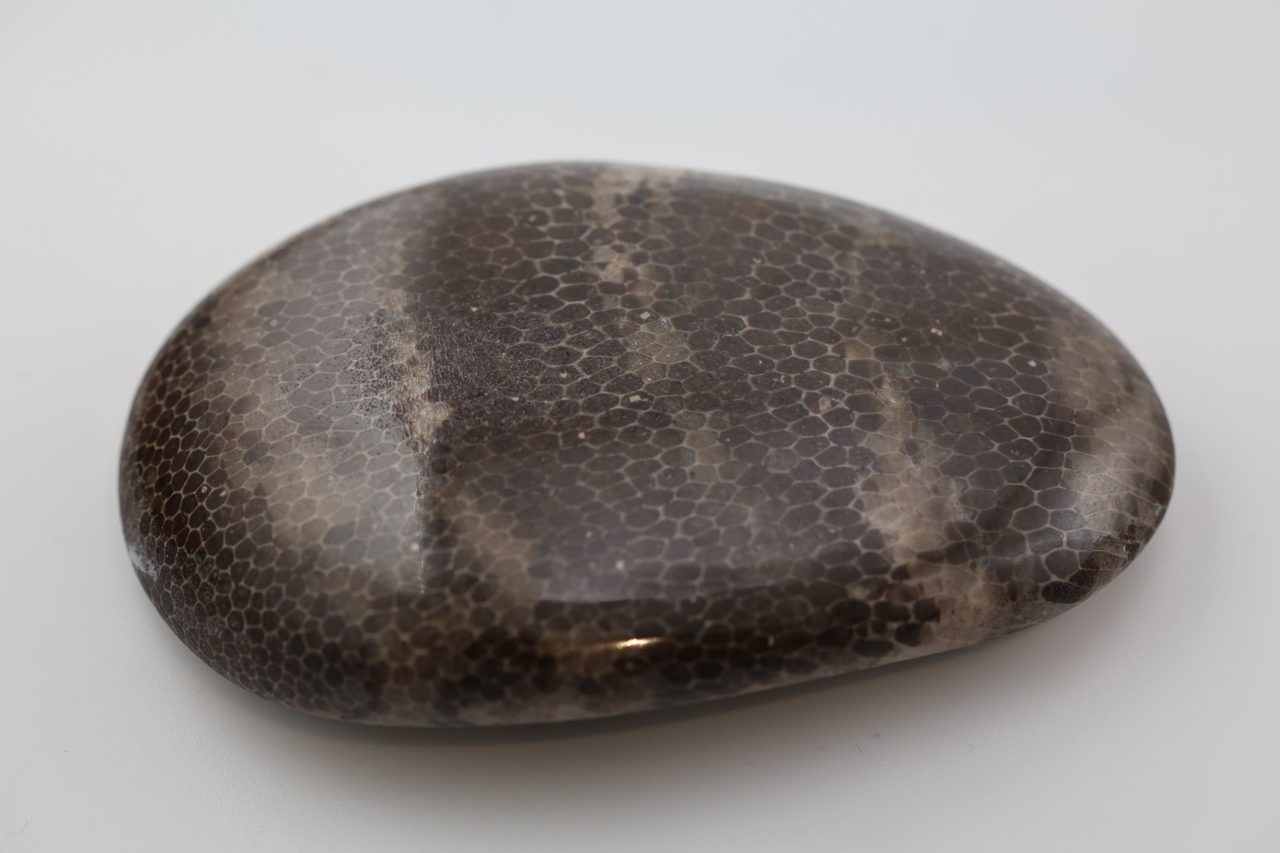 Petoskey Stone Handstone