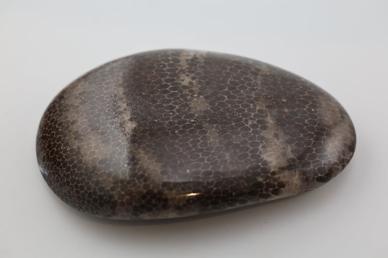 Petoskey Stone Handstone