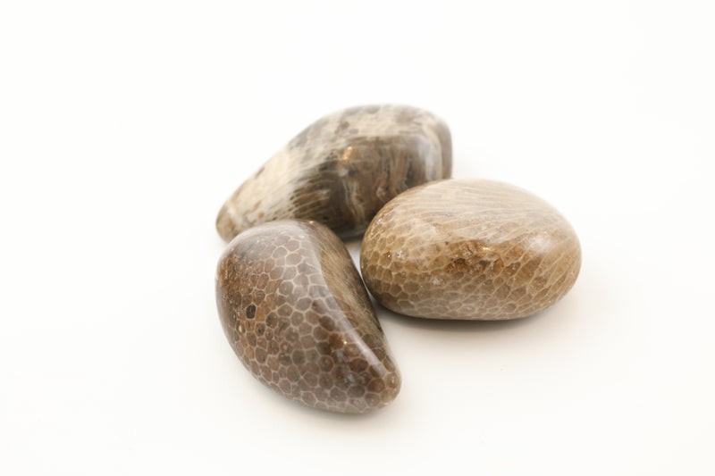 Petoskey Stone Tumble