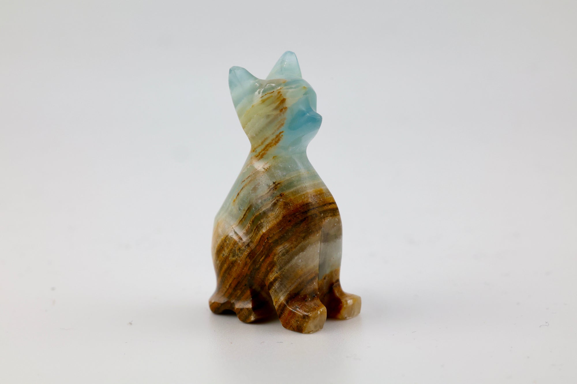 Blue Onyx Cat