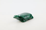 Malachite Turtle