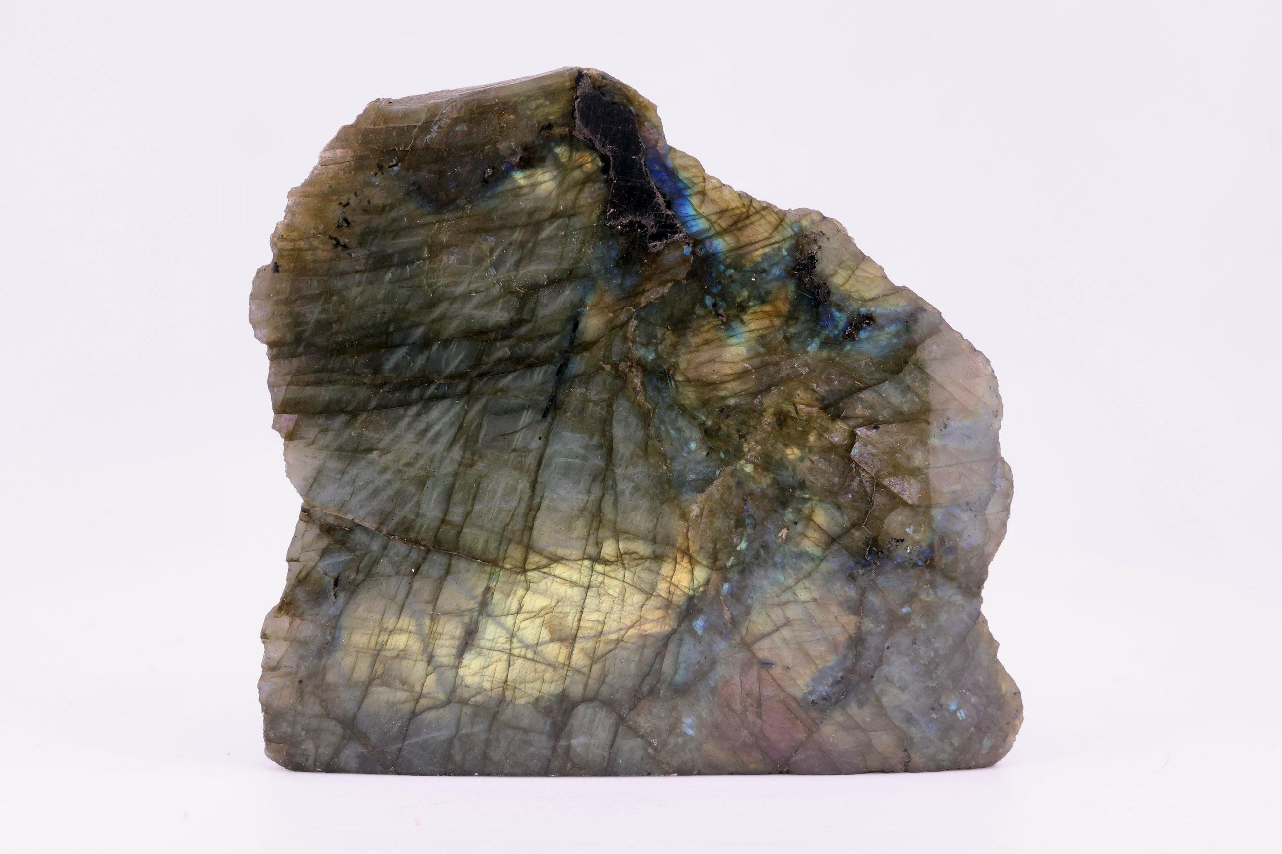 Labradorite Semi-Polished Cutbase
