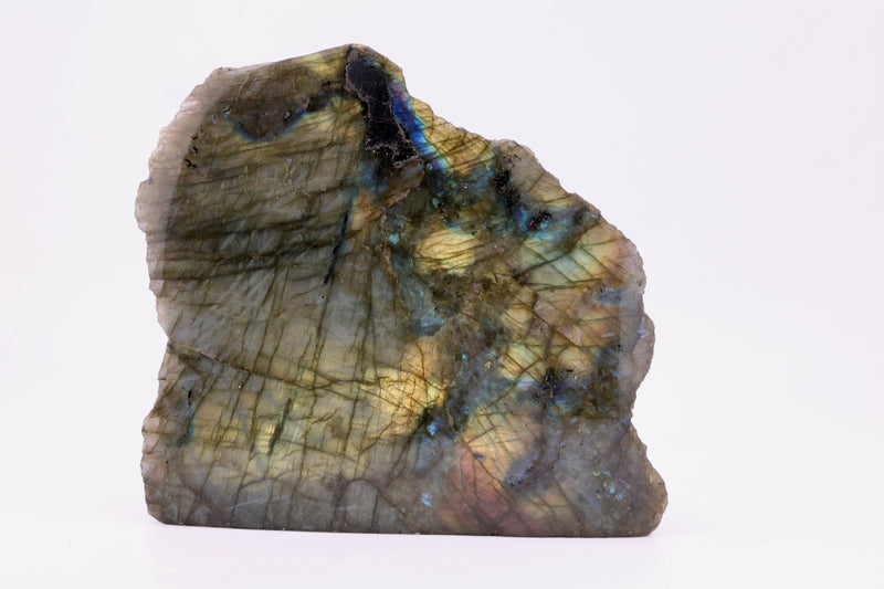 Labradorite Semi-Polished Cutbase