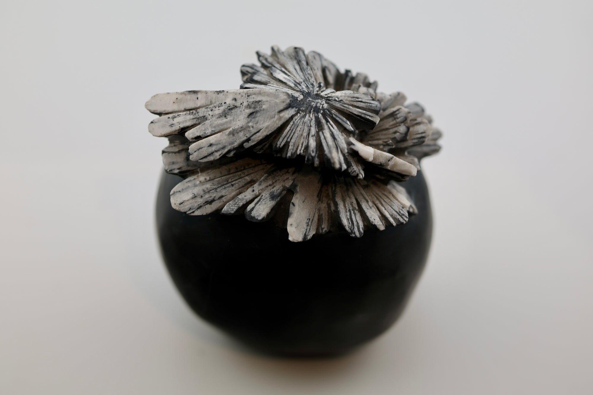 Chrysanthemum Carving