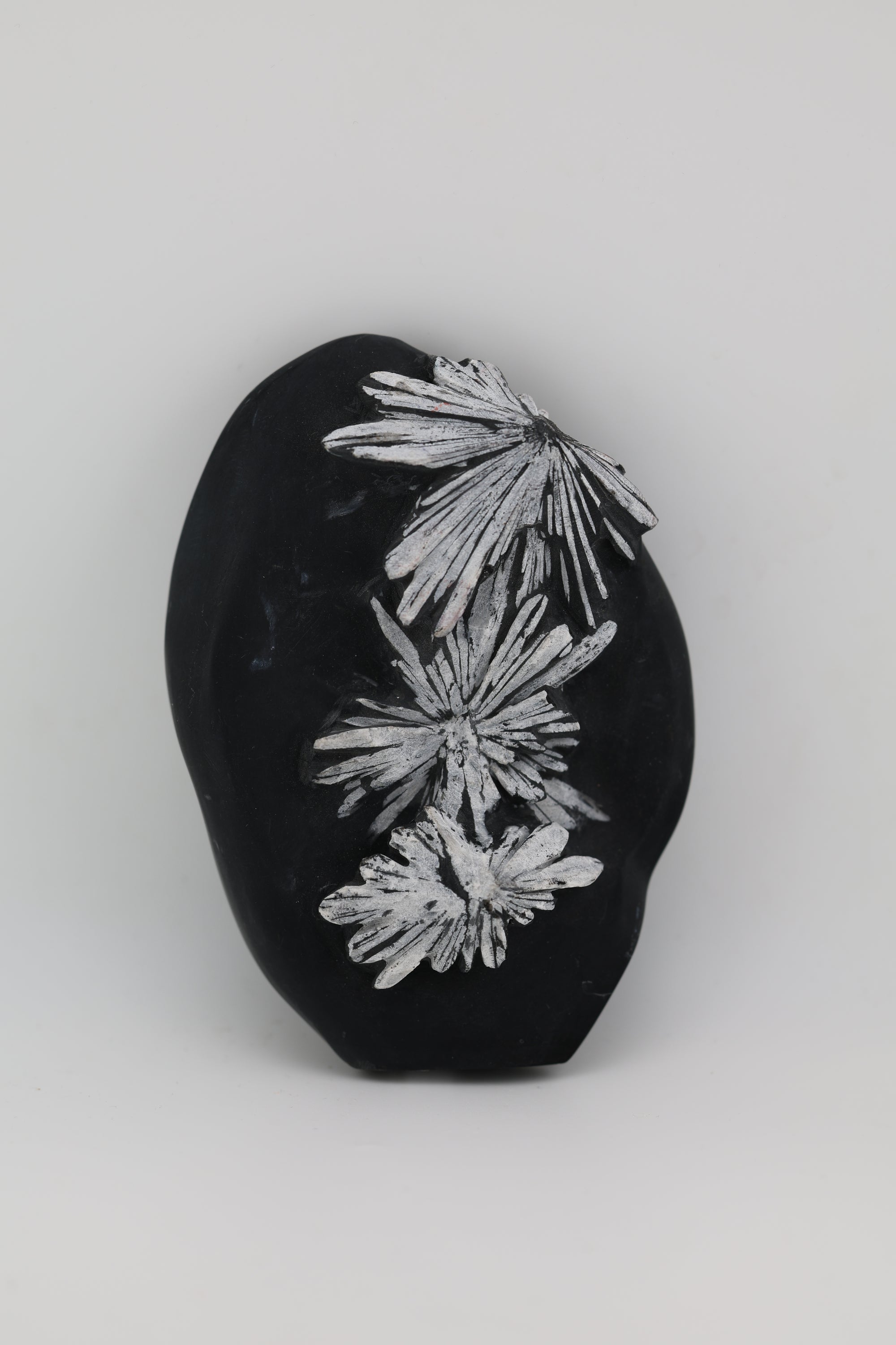 Chrysanthemum Carving