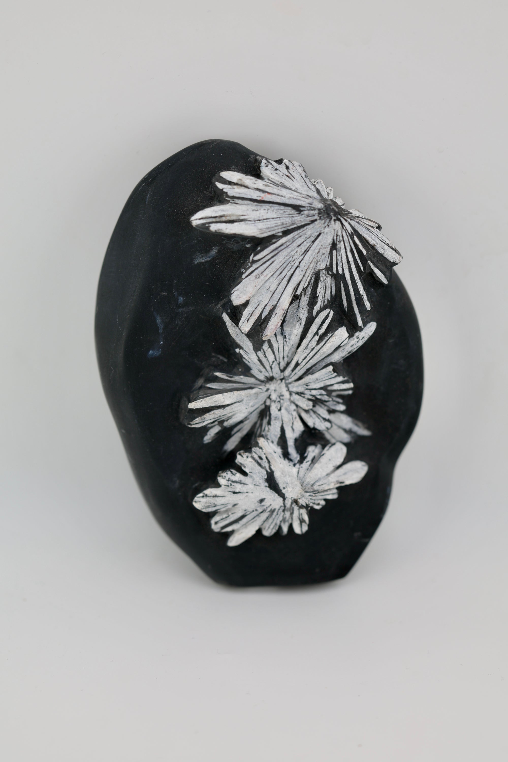 Chrysanthemum Carving