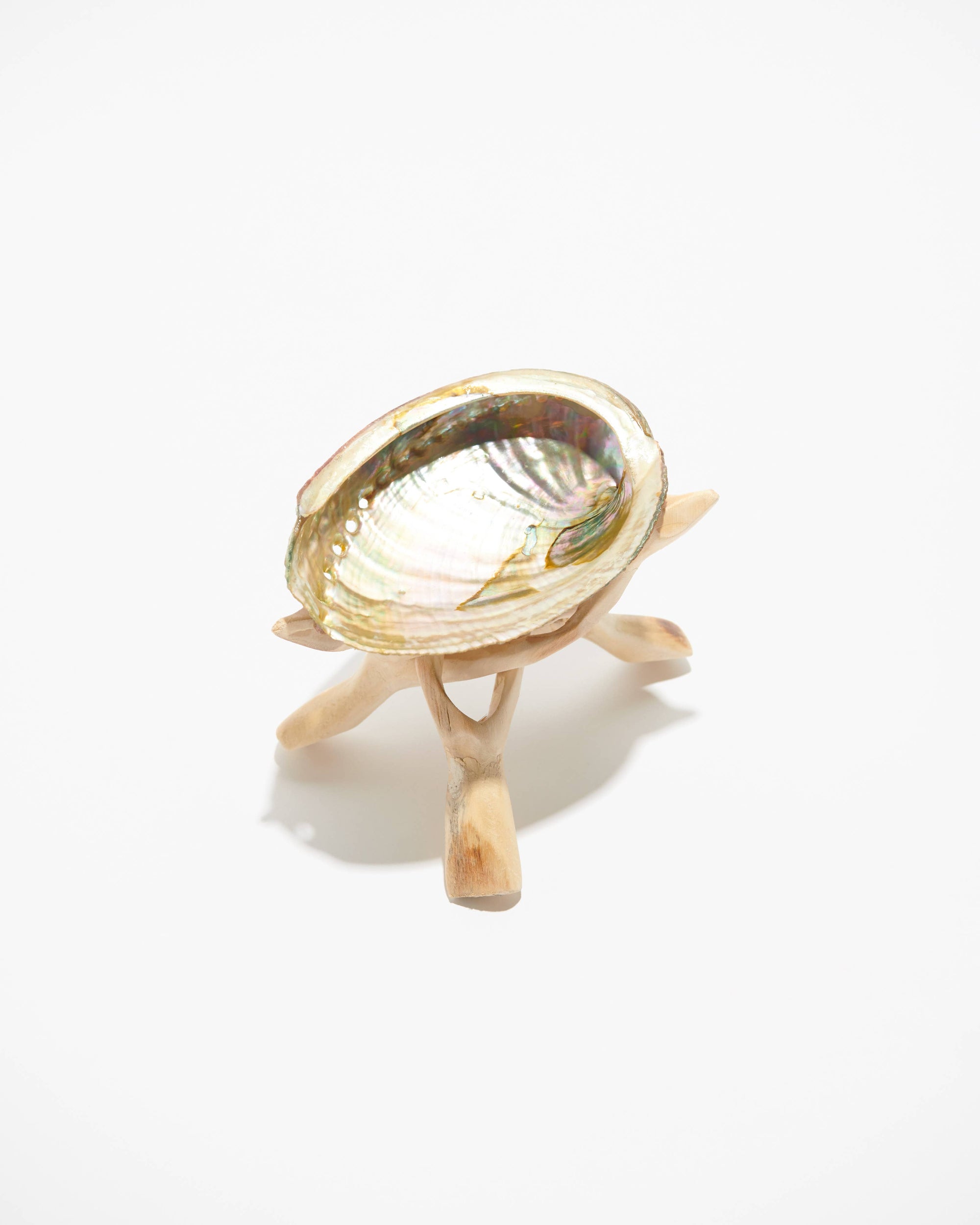 Abalone Shell Stand, Cobra Tripod, Wooden Tripod Stand: Lge.