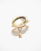 Abalone Shell Stand, Cobra Tripod, Wooden Tripod Stand: Reg.