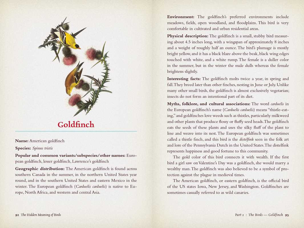 Hidden Meaning of Birds--A Spiritual Field Guide by Arin Murphy-Hiscock: Paperback; 240 pages / English