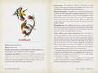 Hidden Meaning of Birds--A Spiritual Field Guide by Arin Murphy-Hiscock: Paperback; 240 pages / English